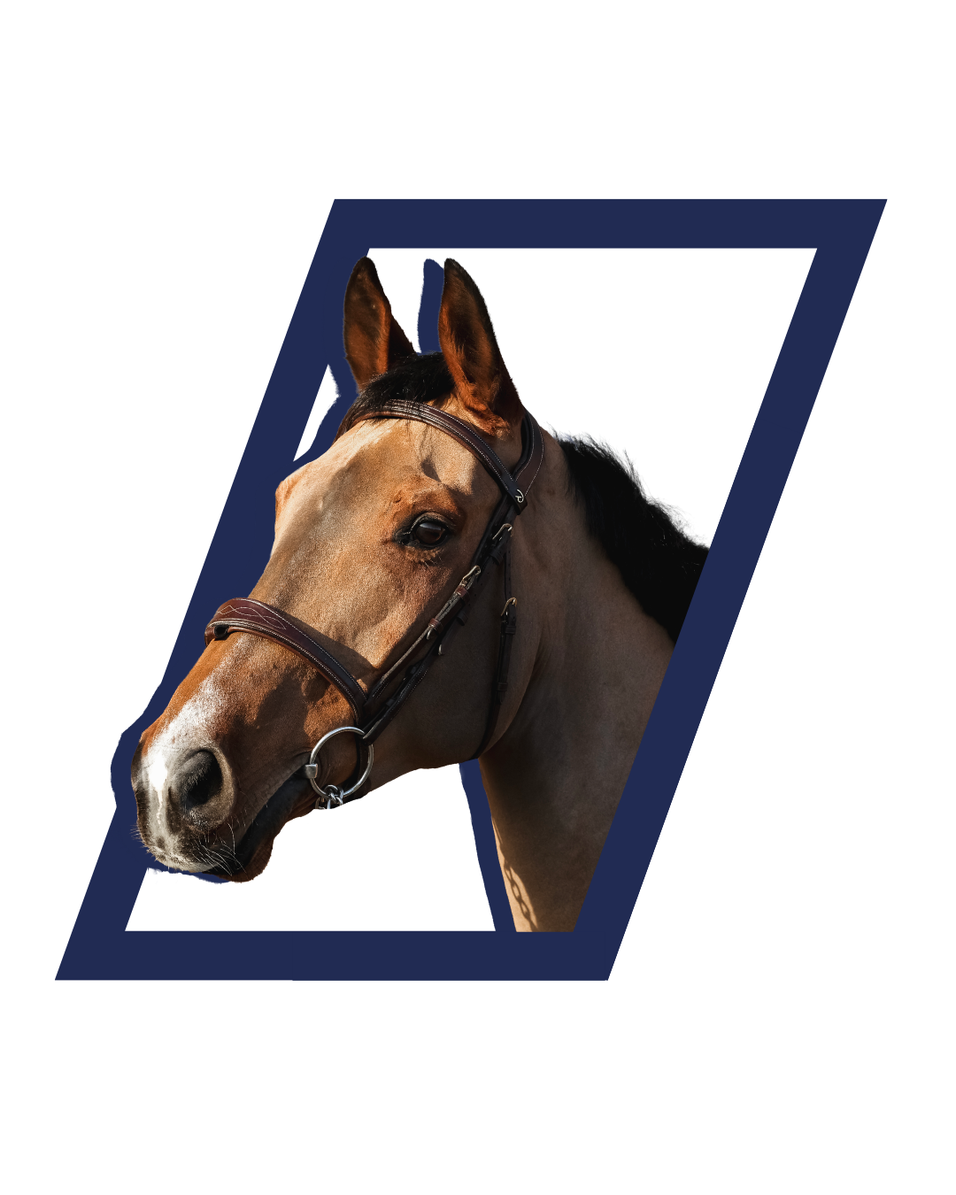 Jicky Star du Titanqa